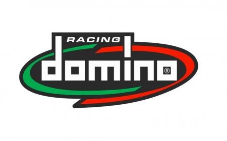 domino.jpg