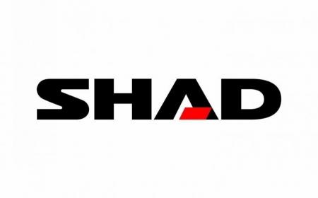 shad.jpg