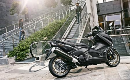 tmax-530.jpg