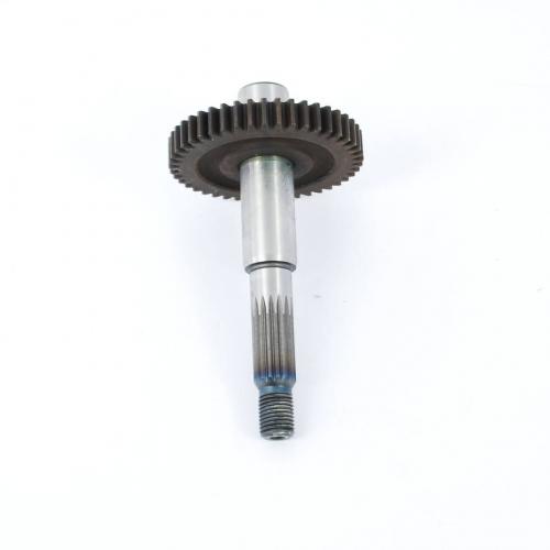 2584549asc.jpg