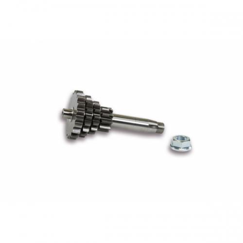 ingranaggio-malossi-cambio-multiplo-sport-per-vespa-50-et3-125.jpg