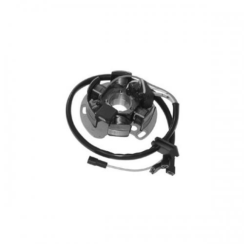 statore-6-poli-aprilia-rs-50-06-derbi.jpg