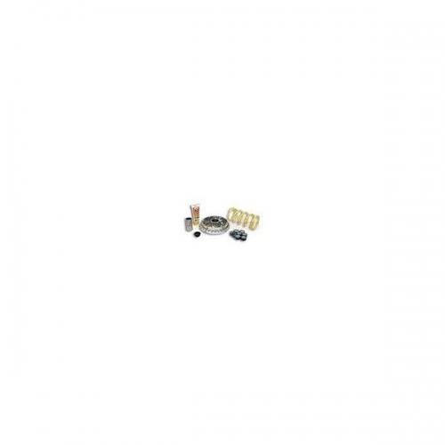 yamaha-majesty-400-fino-al-2008-variatore-malossi-.jpg