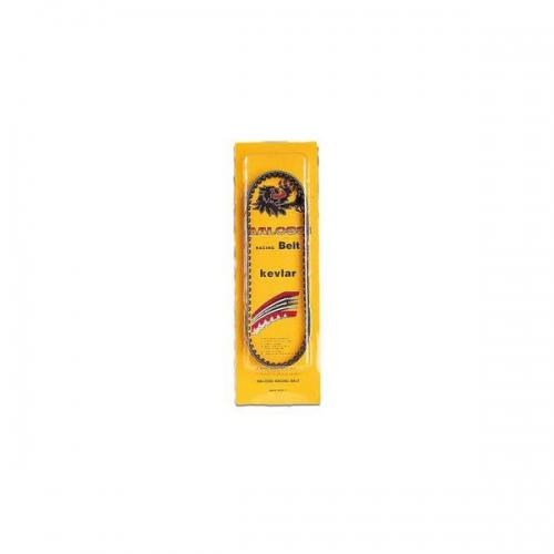 zip-50-2t-vespa-et2-kevlar-belt-malossi-.jpg